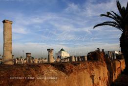 Image du Maroc Professionnelle de  Les quelques colonnes de la mosquée (Tour Hassan) qui fît construite à la fin du XIIe siècle par le Sultan Yacoub el Mansour (dynastie Almohade) désireux de construire la plus grande mosquée du monde doté de 400 colonnes, la construction n’a pas été achevé suite à la mort du sultan en 1199, La tour Hassan est le symbole de Rabat son esplanade abrite le Mausolée Mohammed V de Rabat visible au fond, Jeudi 1er Mars 2007. (Photo / Abdeljalil Bounhar)

 